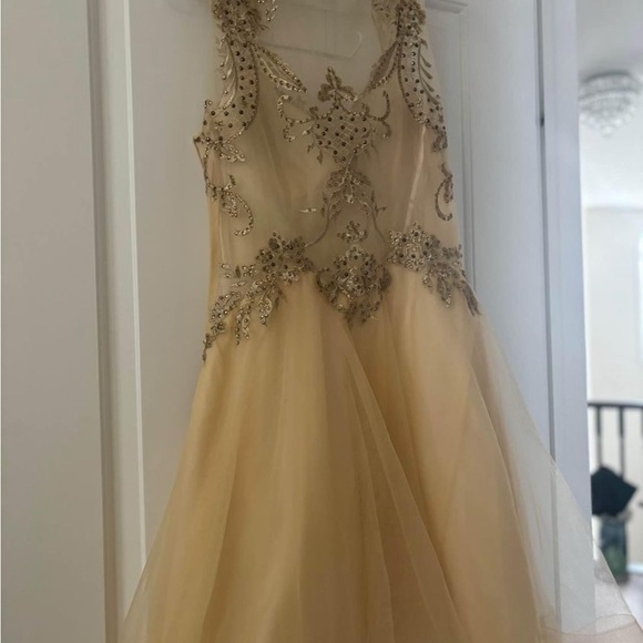 ⋆｡𖦹˚.★ Gold Dress ⋆｡𖦹˚.★ - Picture 5 of 5